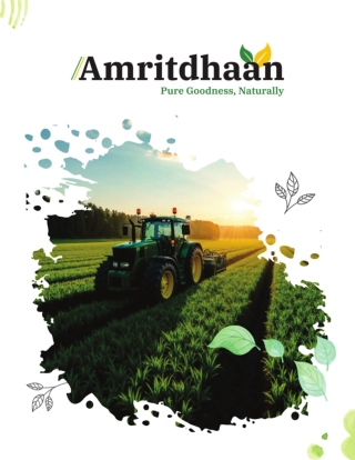 Premium Rice & Upcoming Pulses Range by Amritdhaan Wilmar