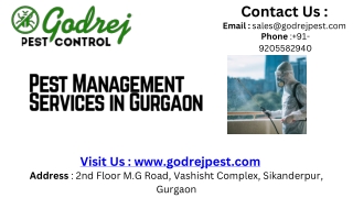 Pest Management Services in Gurgaon (1)