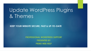Update WordPress Plugins & Themes