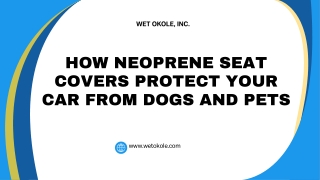 How Neoprene Seat Covers Protect Your Car from Dogs and Pets