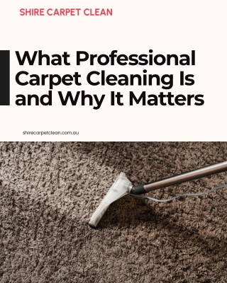 What Professional Carpet Cleaning Is and Why It Matters