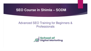 Advanced SEO Course in Shimla | School Of Digital Marketing