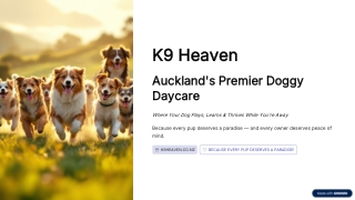 Auckland Doggy Daycare