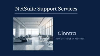 NetSuite Support Services & Managed Services | ERP Experts