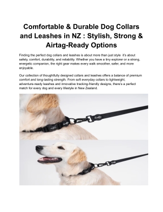 Comfortable & Durable Dog Collars and Leashes in NZ _ Stylish, Strong & Airtag-Ready Options