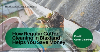 How Regular Gutter Cleaning in Blaxland Helps You Save Money