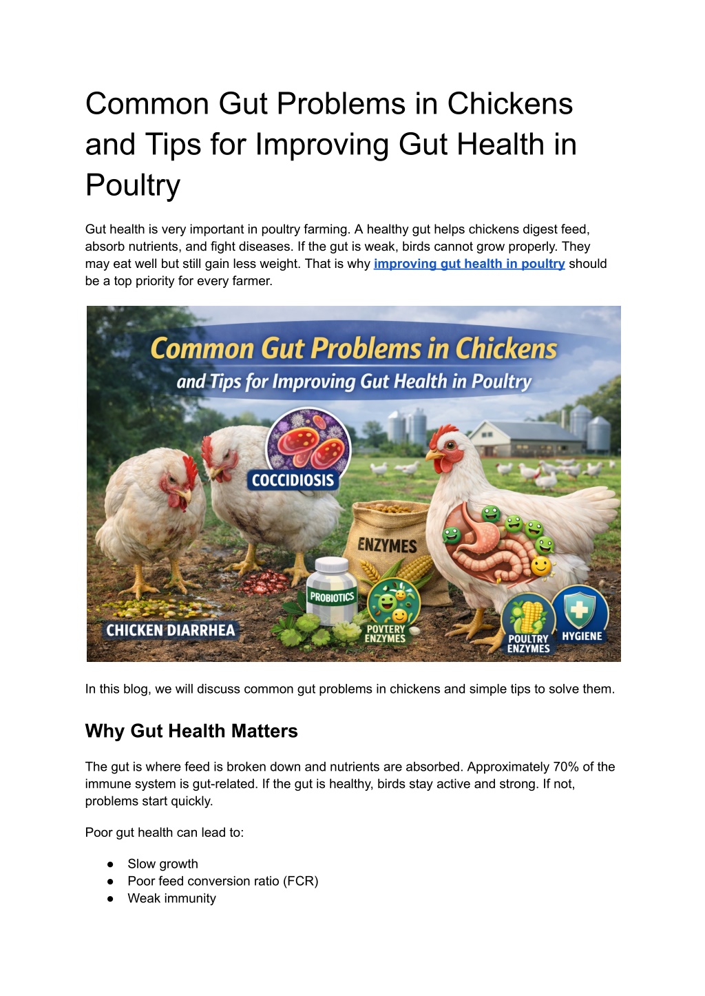 PPT - Common Gut Problems in Chickens and Tips for Improving Gut Health ...