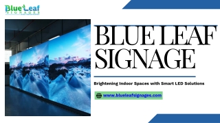 Advertising LED Display Screen Manufacturers  Blue Leaf Signage