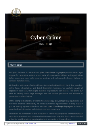 cyber crime