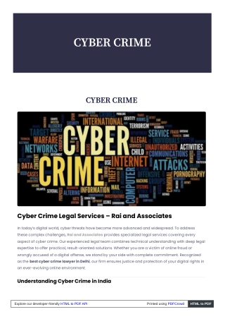 raiandassociates_co_in_best_cyber_crime_lawyer (1)
