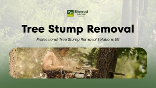 Professional Tree Stump Removal Solutions UK