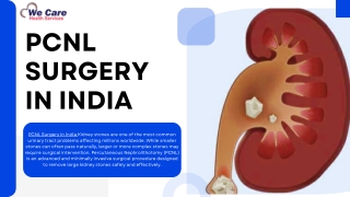 PCNL Surgery in India