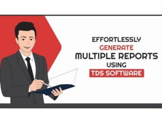 Generating Multiple Client-Wise Reports Easily Through TDS Software