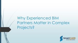 Why Experienced BIM Partners Matter in Complex Projects