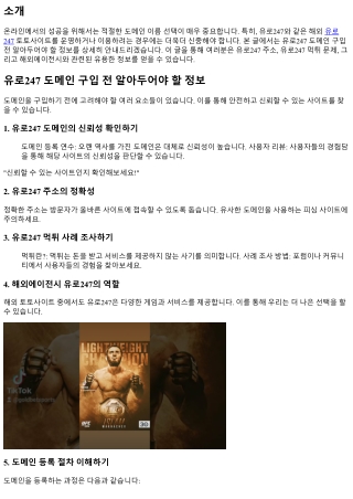 유로247 도메인 구입 전 알아두어야 할 정보