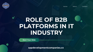Role of B2B Platforms in IT Industry Presentation