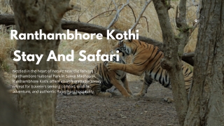 Best Ranthambore Stay And Safari
