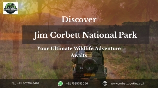 Bijrani Zone Corbett National Park Safari Experience Guide