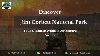 Bijrani Zone Corbett National Park Safari Experience Guide
