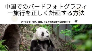 中国でのバードフォトグラフィー旅行を正しく計画する方法