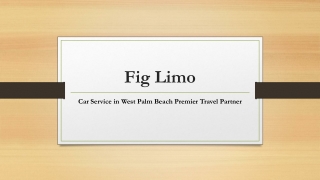 Car Service in West Palm Beach Premier Travel Partner