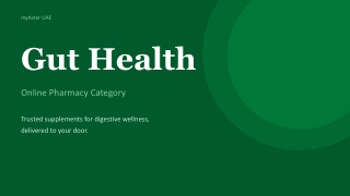 Gut Health Essentials for Better Digestion & Daily Comfort