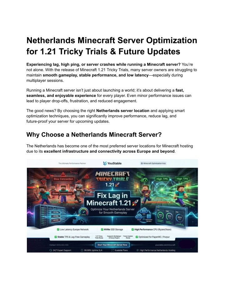 PPT - Netherlands Minecraft Server Optimization for 1.21 Tricky Trials ...