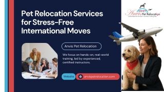 Pet Relocation Services for Stress-Free International Moves