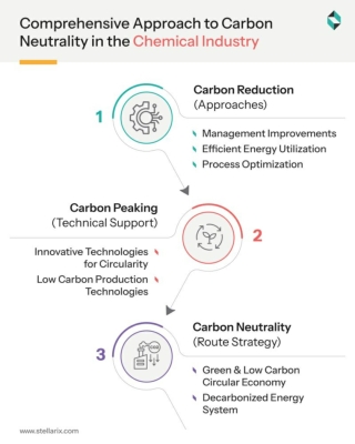 Comprehensive Approach to Carbon Neutrality in the Chemical Industry