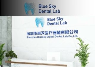Premium Malo Bridge Full Arch Solutions  Blue Sky Dental Lab