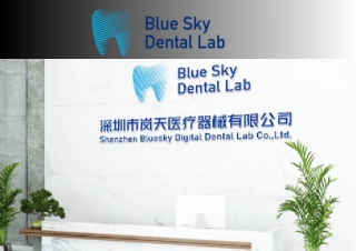 Malo Bridge Hybrid Solutions for Strong Smiles  Blue Sky Dental Lab