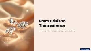 From-Crisis-to-Transparency (1)
