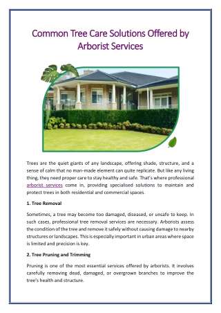 Common Tree Care Solutions Offered by Arborist Services