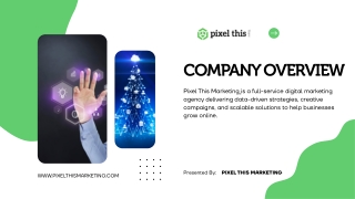 pixel this marketing company overview  (1)