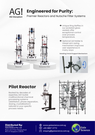 Asahi Reactor and Nutsche Filter Systems
