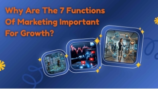 Why Are The 7 Functions Of Marketing Important For Growth