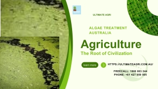 Algae treatment Australia