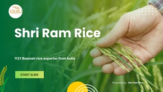1121 Basmati rice exporter from India