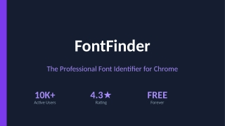 FontFinder: The Professional Font Identifier for Chrome