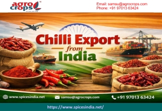 Chilli Export from India