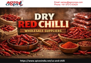 Dry Red Chilli Wholesale Suppliers