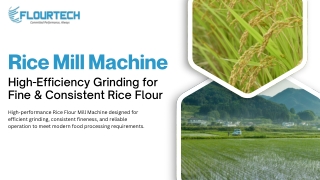 Commercial Rice Flour Mill Machine | Flourtech India