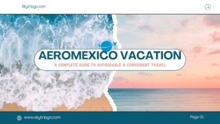 Aeromexico Vacation ppt