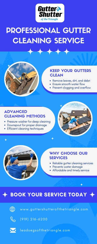 Professional Gutter Cleaning service
