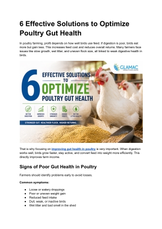 6 Effective Solutions to Optimize Poultry Gut Health
