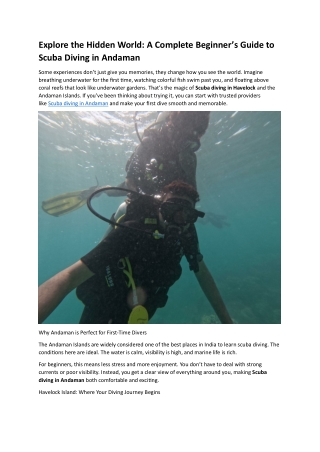 Explore the Hidden World A Complete Beginner’s Guide to Scuba Diving in Andaman