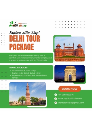 Delhi One Day Tour Package by Bus | Same Day Delhi Sightseeing Tour