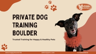 Transform Your Pet with Private Dog Training in Boulder