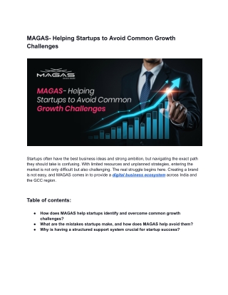 MAGAS- Helping Startups to Avoid Common Growth Challenges