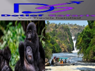 5 Day Gorilla Tracking and Akagera Safari